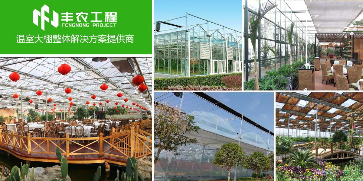 專業創造價值,服務贏得未來